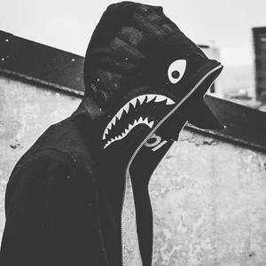 Meet your Posher, Preston